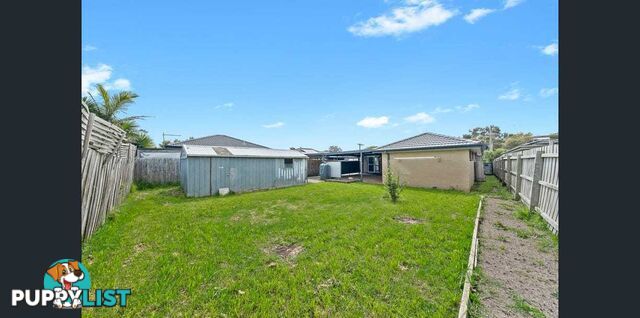 6 Ardmore Street CRANBOURNE VIC 3977
