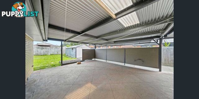 6 Ardmore Street CRANBOURNE VIC 3977