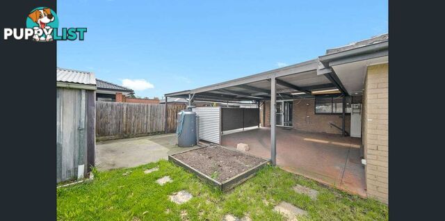 6 Ardmore Street CRANBOURNE VIC 3977