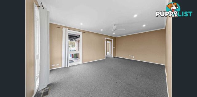 6 Ardmore Street CRANBOURNE VIC 3977