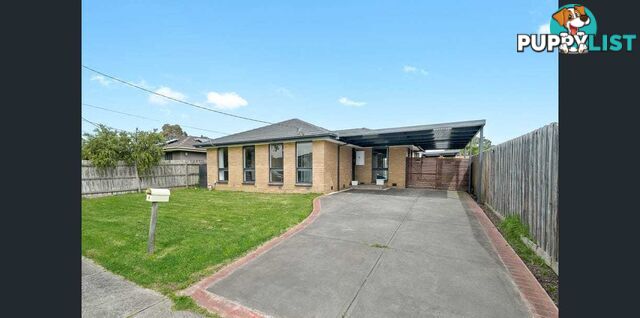6 Ardmore Street CRANBOURNE VIC 3977