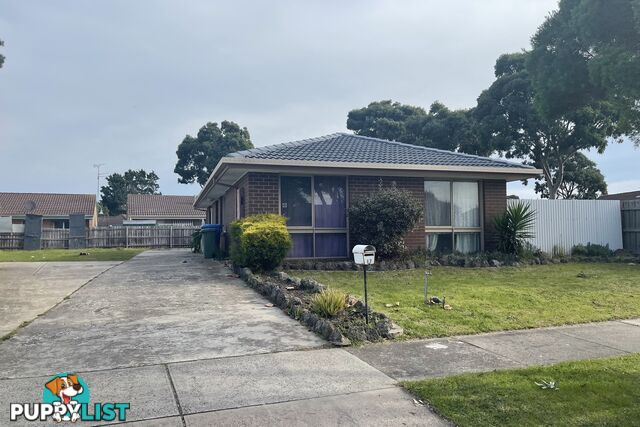 17 Narellan Drive HAMPTON PARK VIC 3976