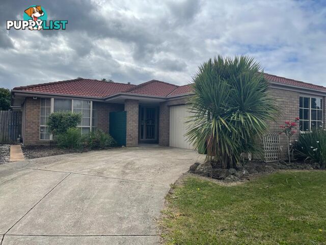 16 Pauline Court HALLAM VIC 3803