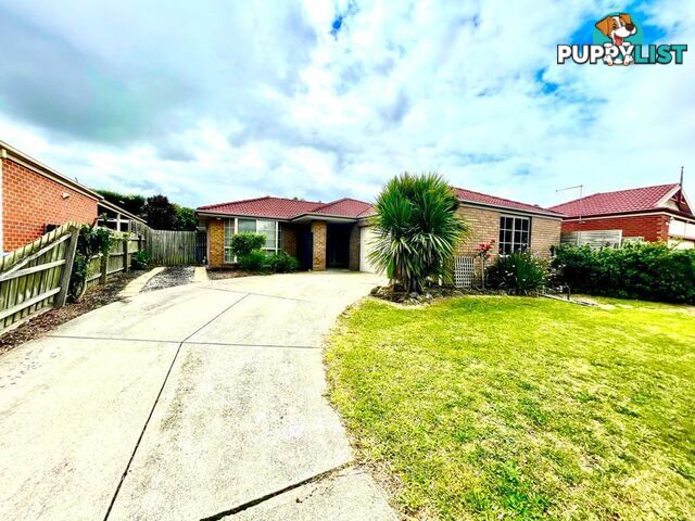 16 Pauline Court HALLAM VIC 3803