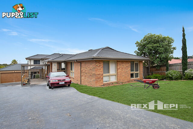 17 Preston Avenue ENDEAVOUR HILLS VIC 3802