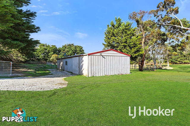 16 Meadow Road DEVON MEADOWS VIC 3977