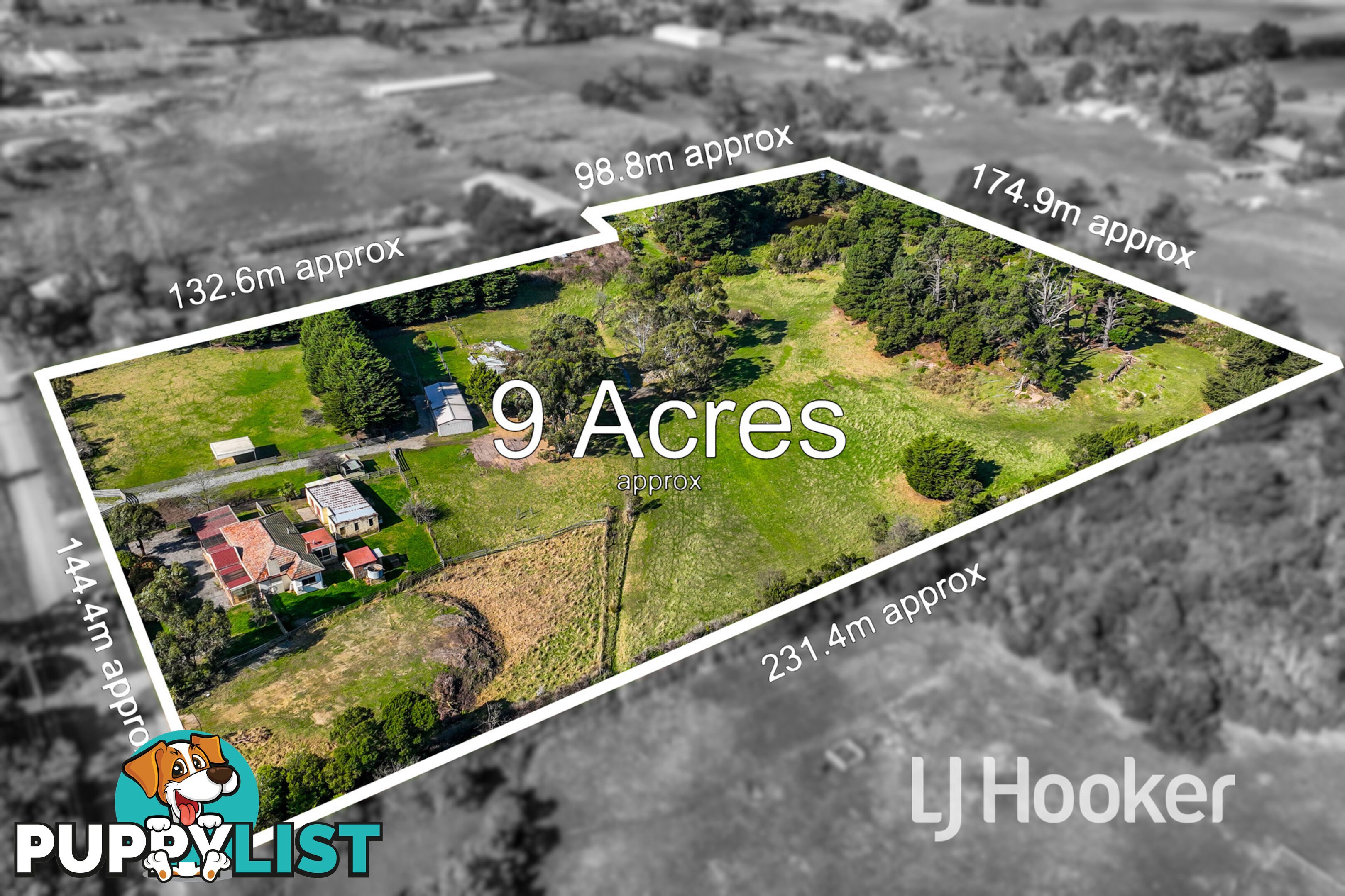 16 Meadow Road DEVON MEADOWS VIC 3977