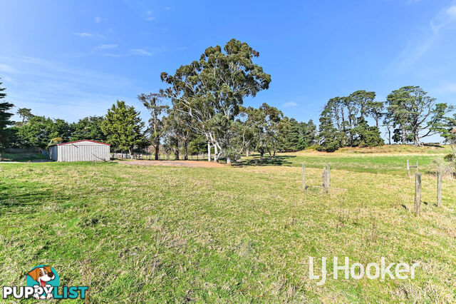 16 Meadow Road DEVON MEADOWS VIC 3977