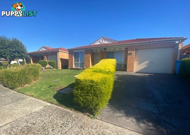 15A Staunton Walk CRANBOURNE EAST VIC 3977