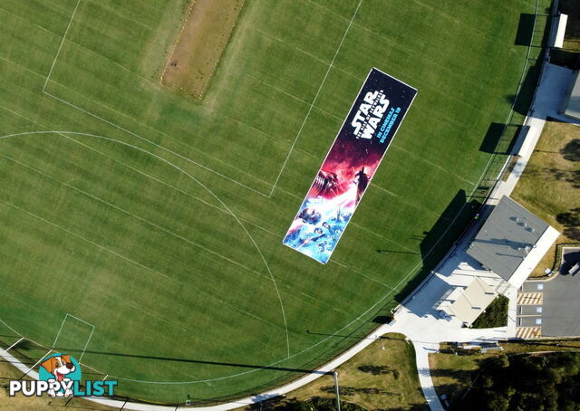 World's Largest Star Wars Poster 40m x 10m (400m2)