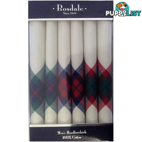 Luxury Men's Woven Handkerchief by Rosdale