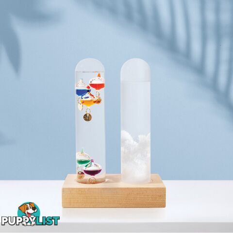 Dual Weather Station - Galileo Thermometer and Storm Glass Set