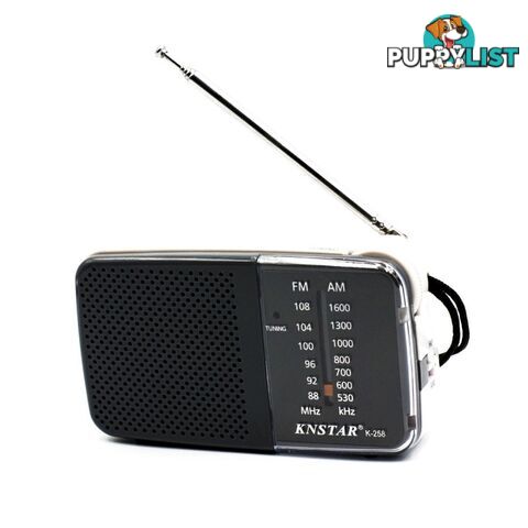 AM/FM Pocket Radio