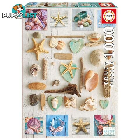 Seashells Collage 1000 Pieces Jigsaw Puzzle