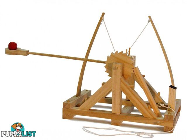 Da Vinci's Catapult