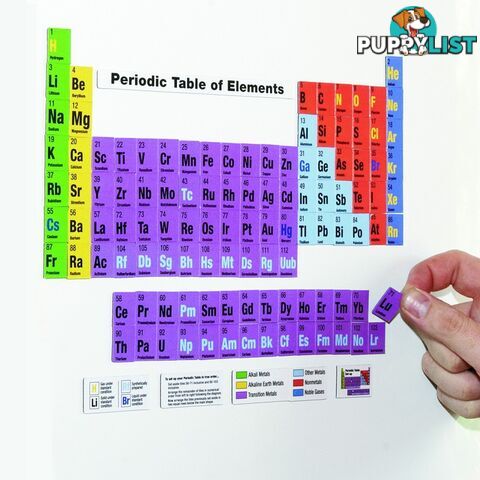 Periodic Table Magnets