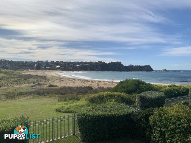 69B Pyang Avenue MALUA BAY NSW 2536