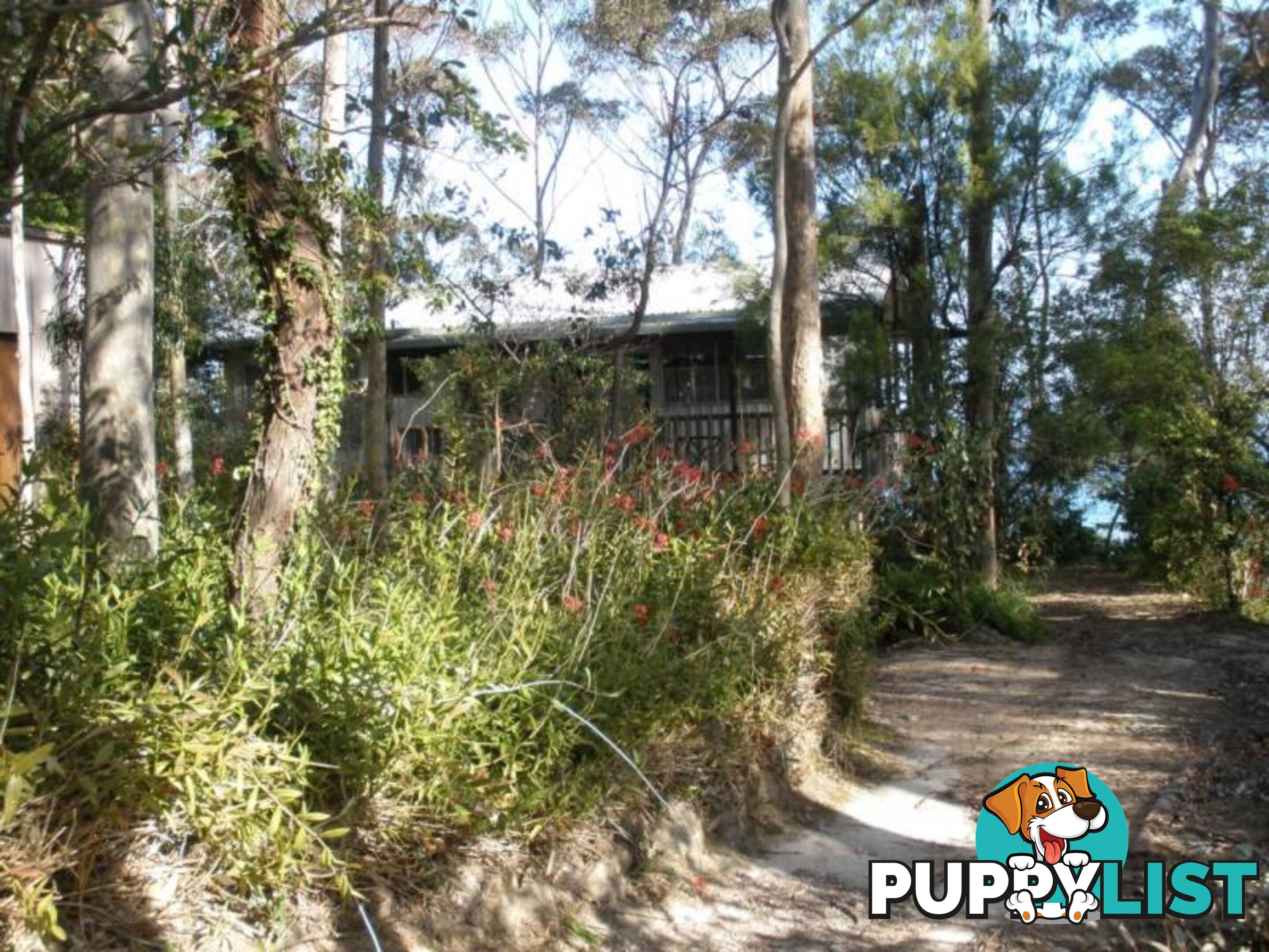 9 Fauna Avenue LONG BEACH NSW 2536