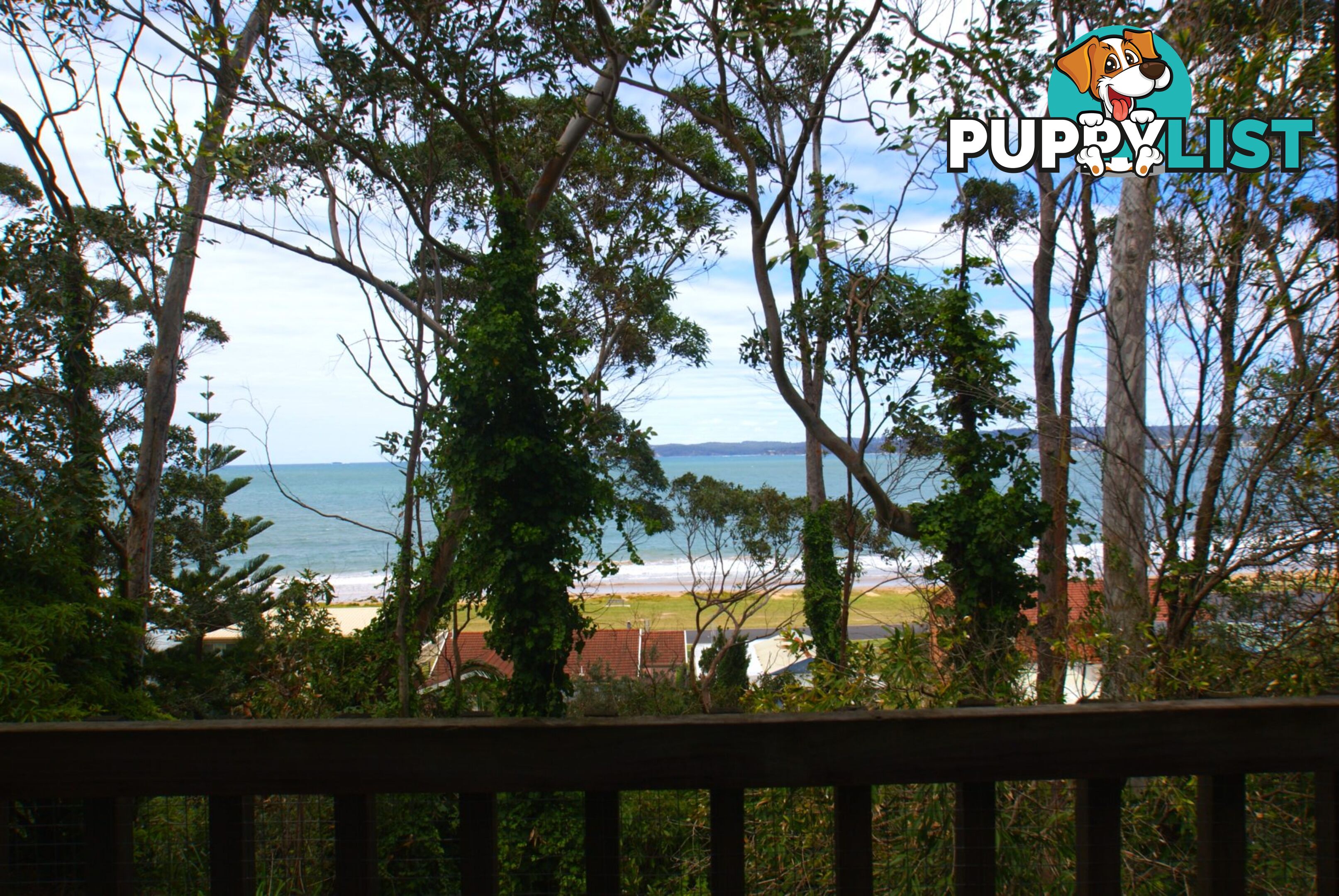 9 Fauna Avenue LONG BEACH NSW 2536