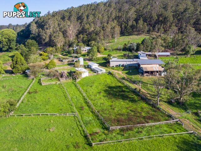 77 Cherryrise Road WAMBAN NSW 2537