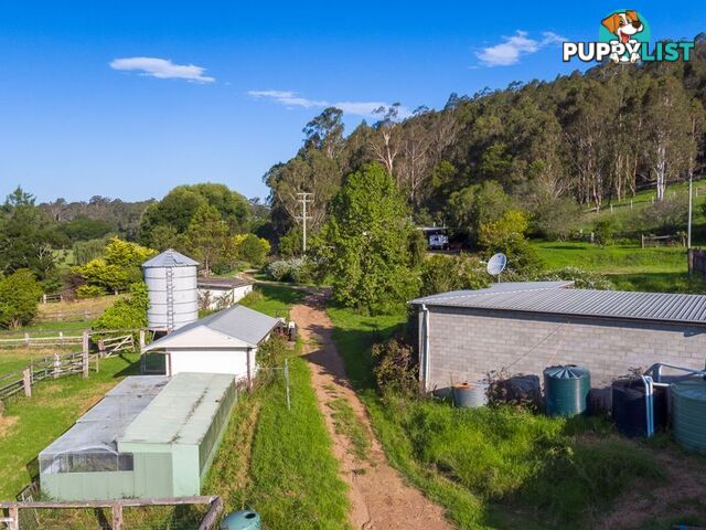 77 Cherryrise Road WAMBAN NSW 2537