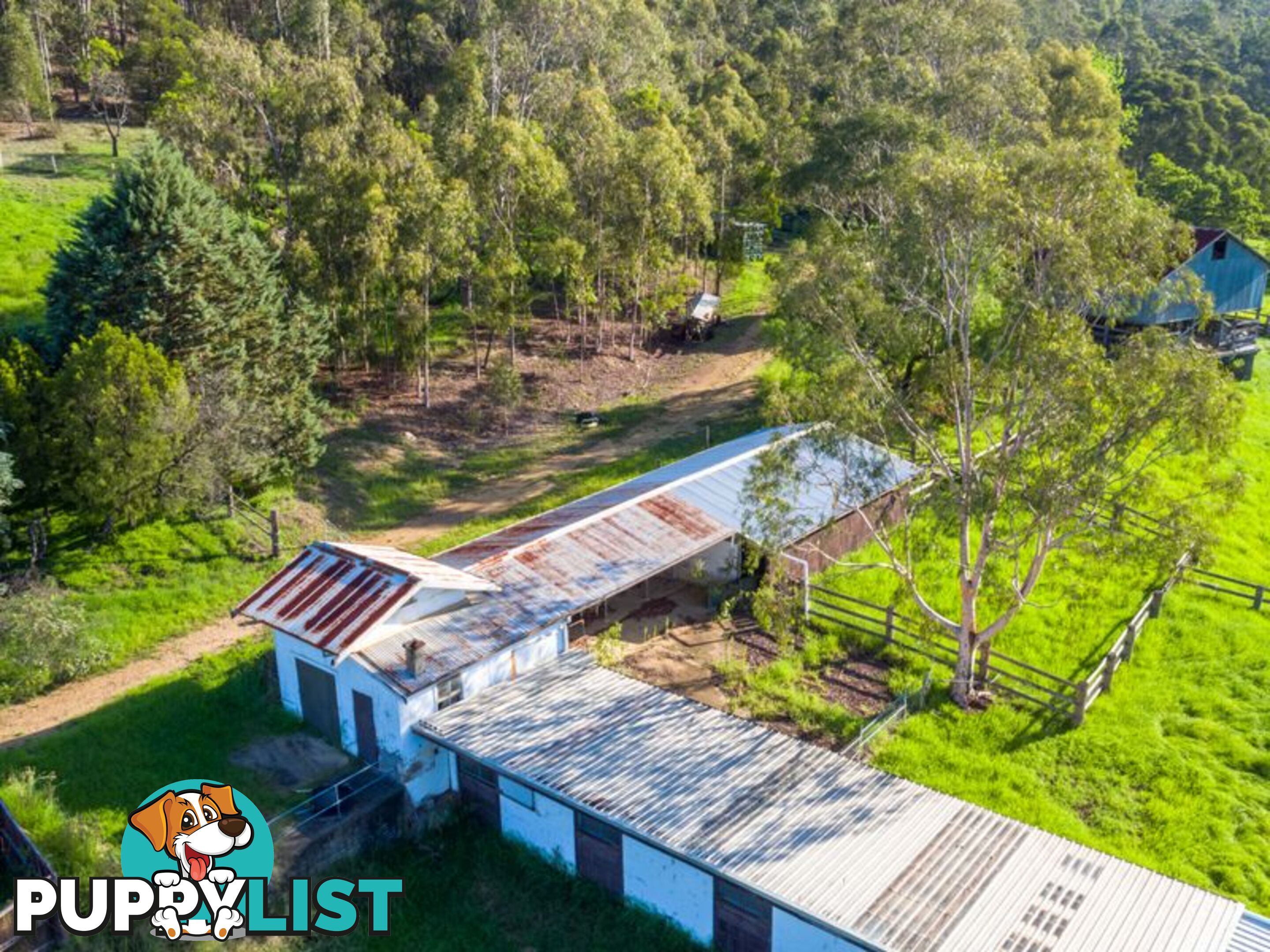 77 Cherryrise Road WAMBAN NSW 2537