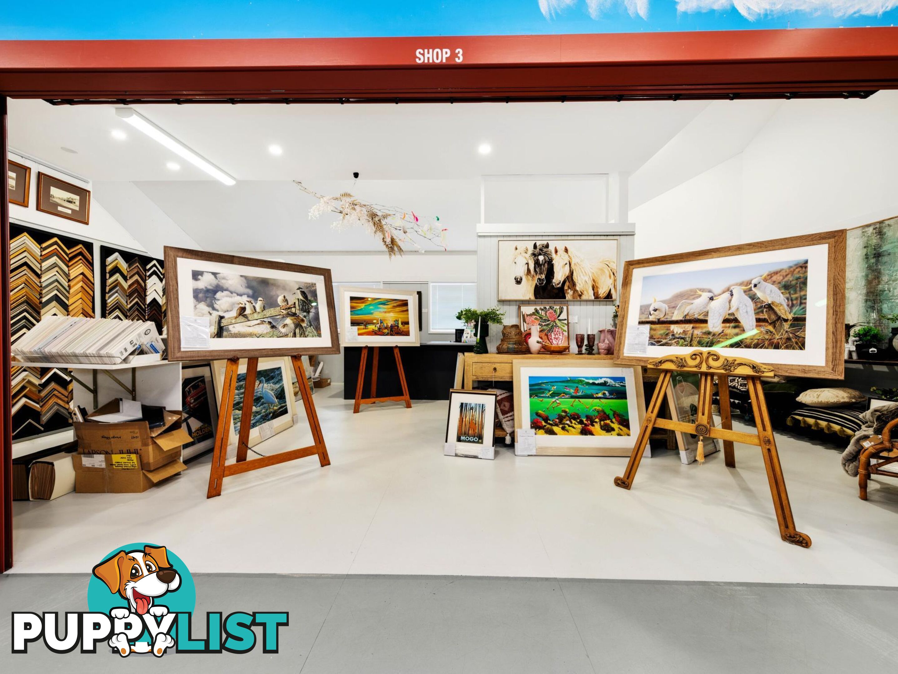 46 Sydney Street MOGO NSW 2536