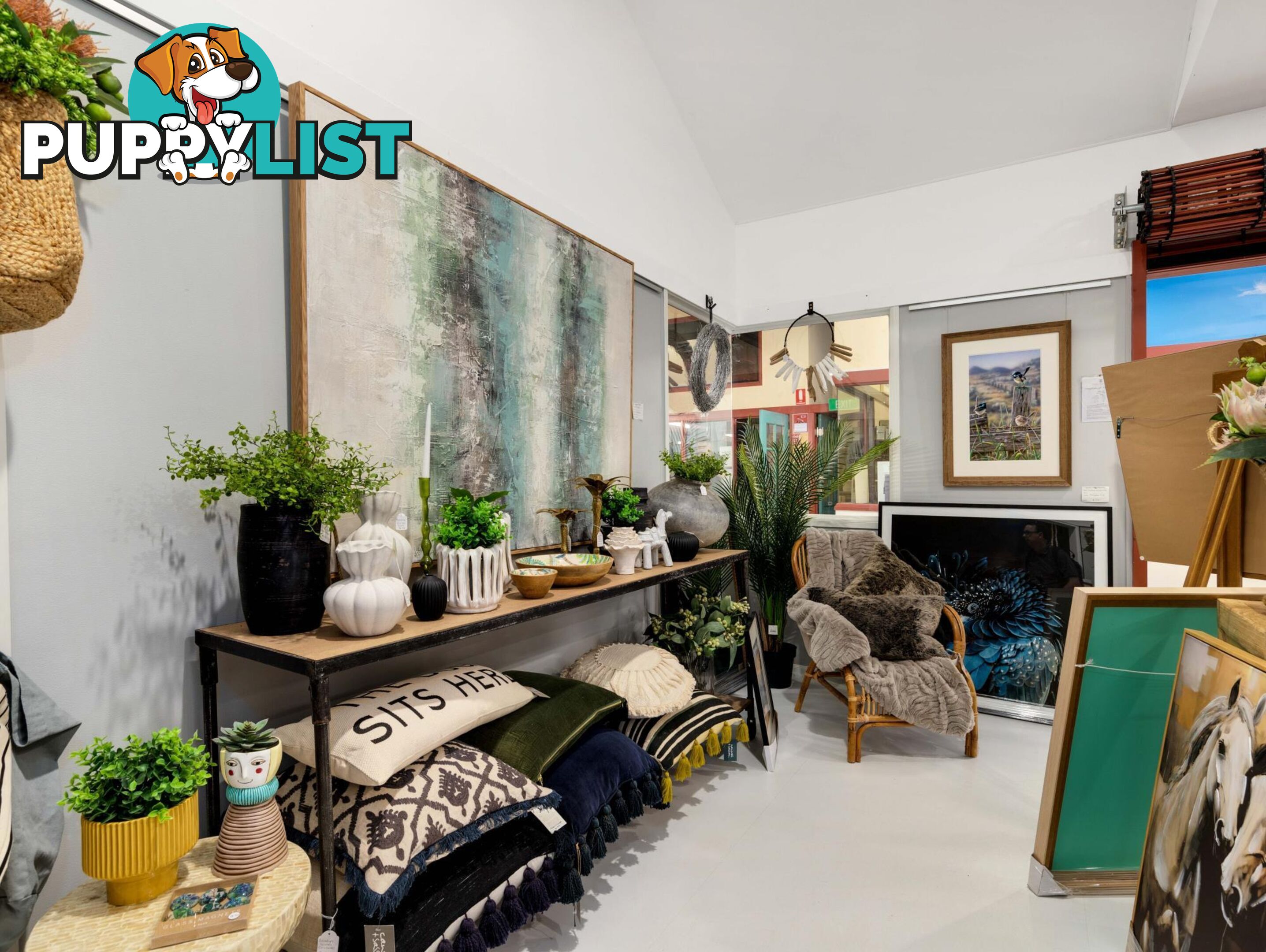 46 Sydney Street MOGO NSW 2536