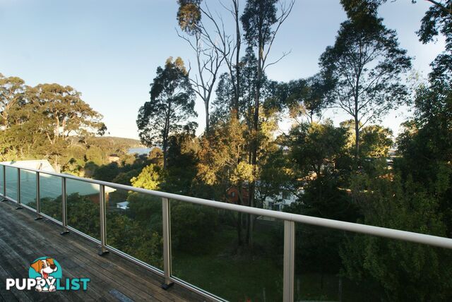 11 Hawks Nest Place SURFSIDE NSW 2536