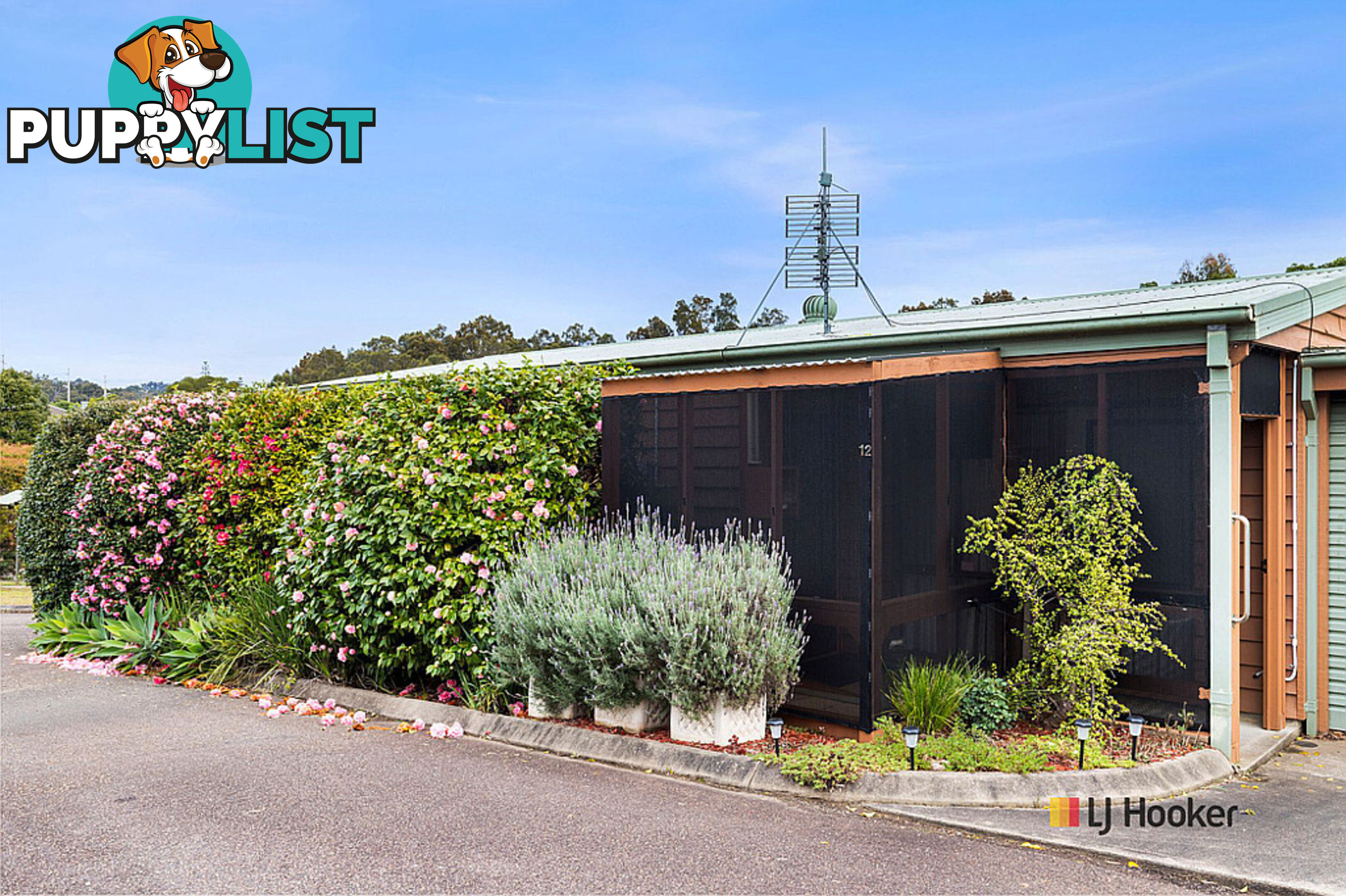 12/12 Old Princes Highway BATEMANS BAY NSW 2536