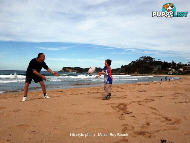 Lot 104 A Bellbird Drive MALUA BAY NSW 2536