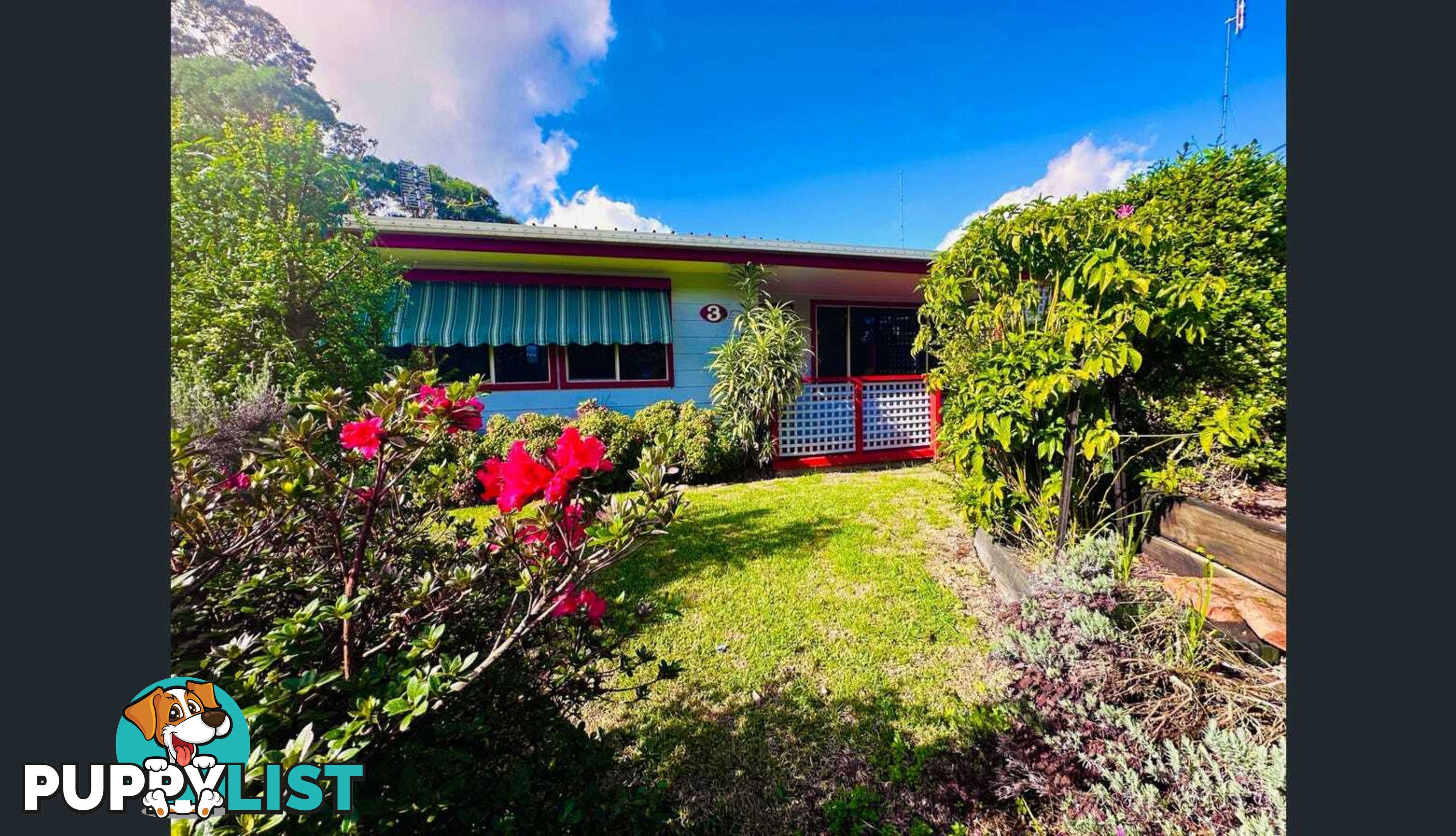 3 Catalina Drive CATALINA NSW 2536