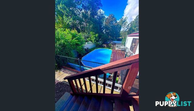 3 Catalina Drive CATALINA NSW 2536