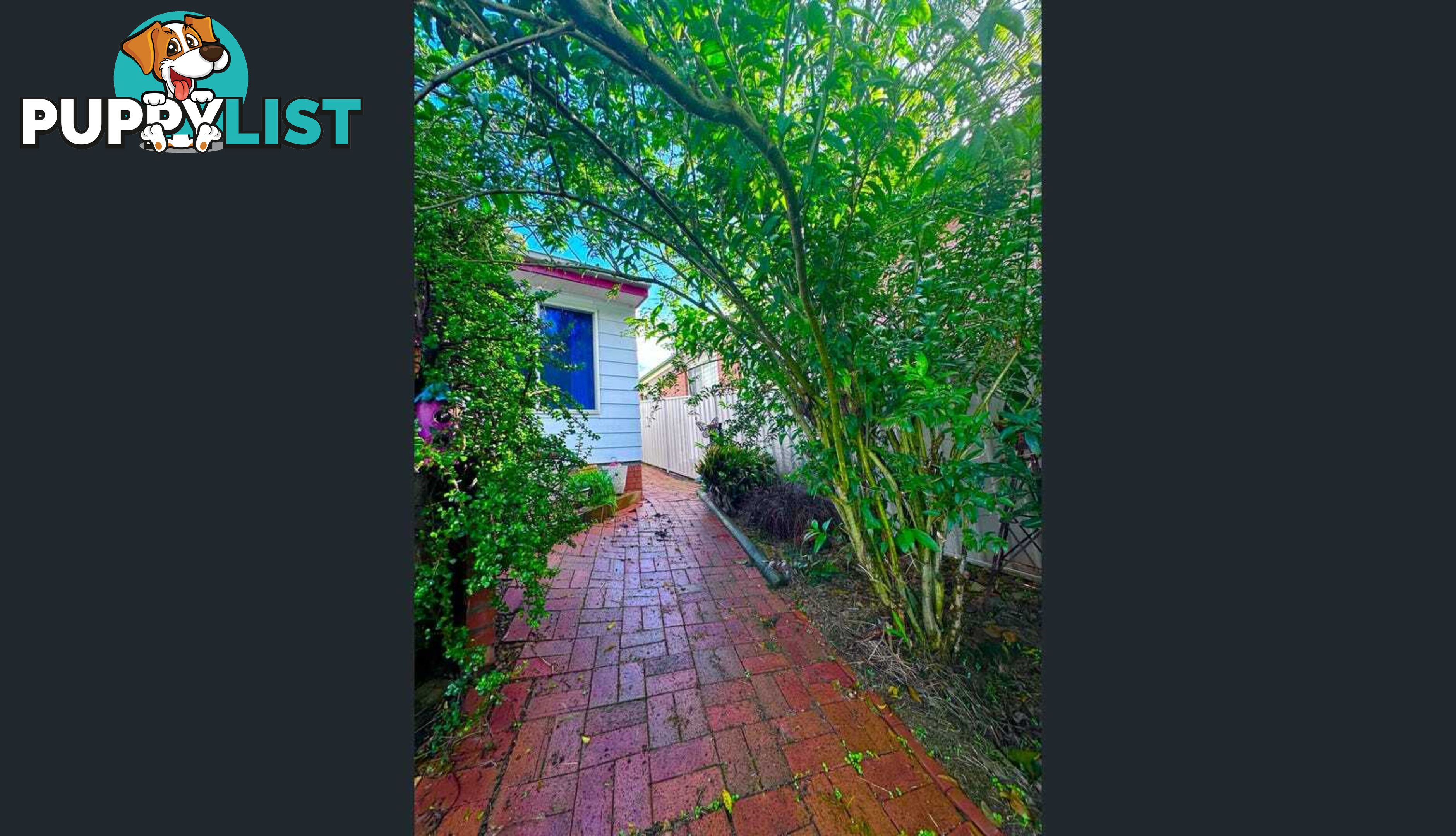 3 Catalina Drive CATALINA NSW 2536