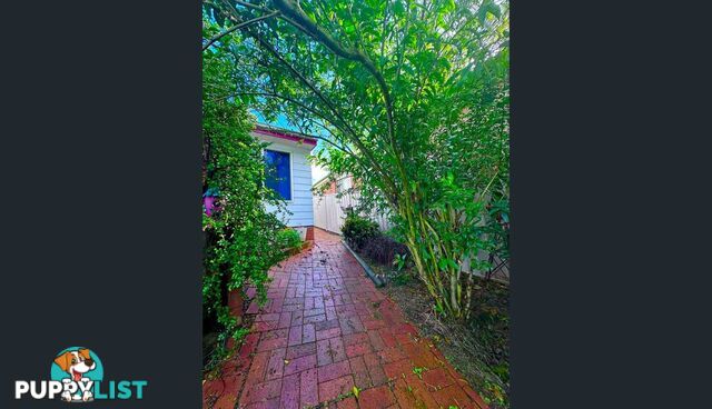 3 Catalina Drive CATALINA NSW 2536