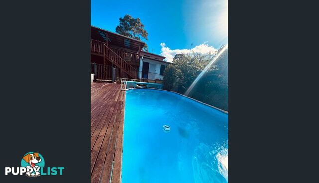 3 Catalina Drive CATALINA NSW 2536