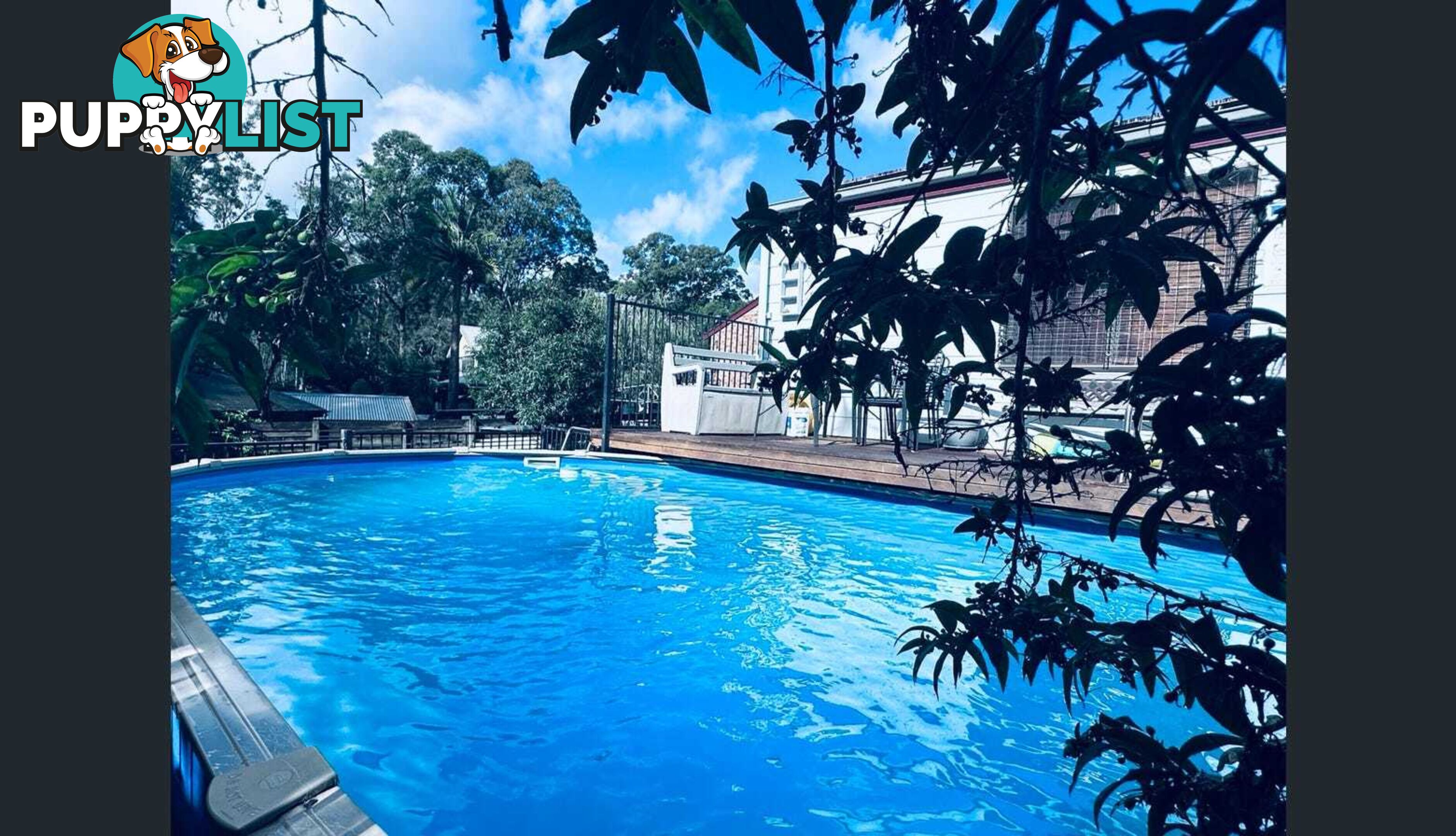 3 Catalina Drive CATALINA NSW 2536