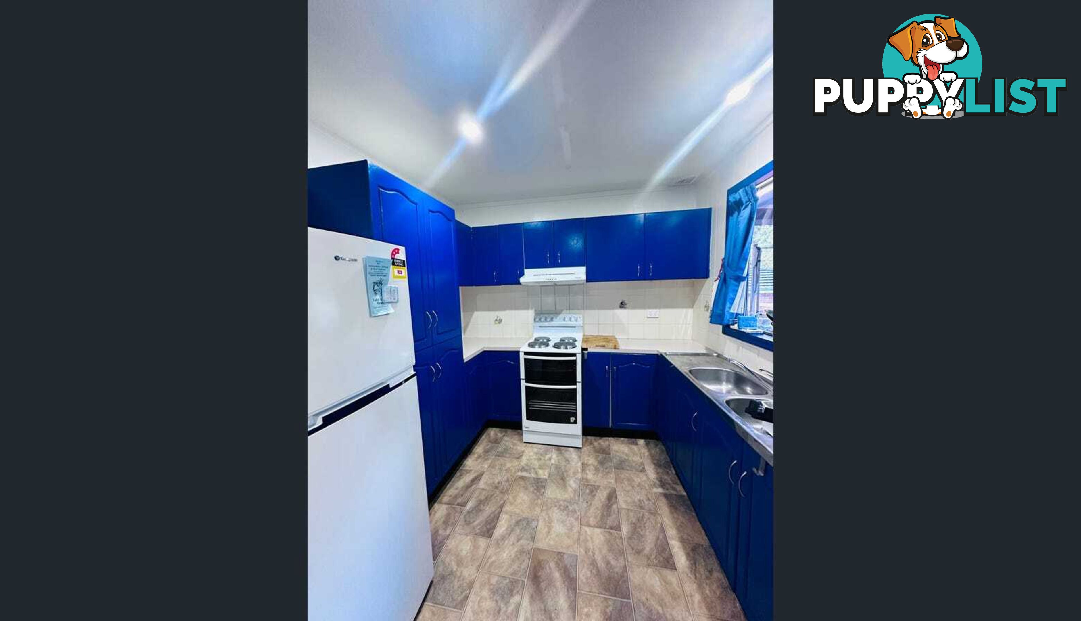 3 Catalina Drive CATALINA NSW 2536