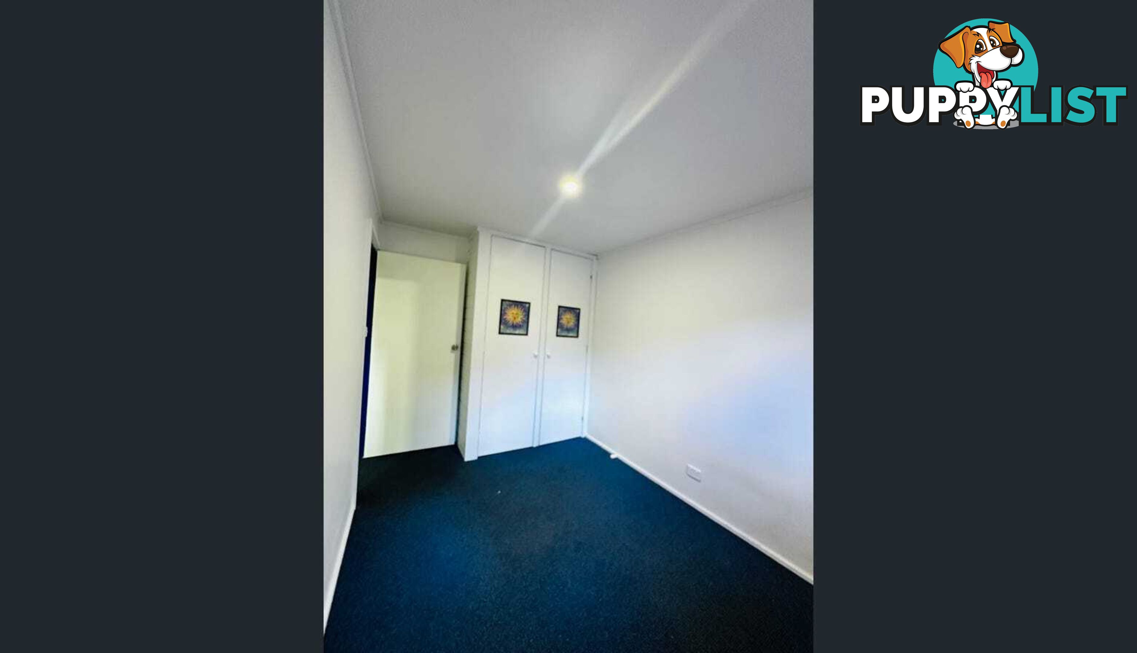3 Catalina Drive CATALINA NSW 2536
