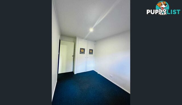 3 Catalina Drive CATALINA NSW 2536
