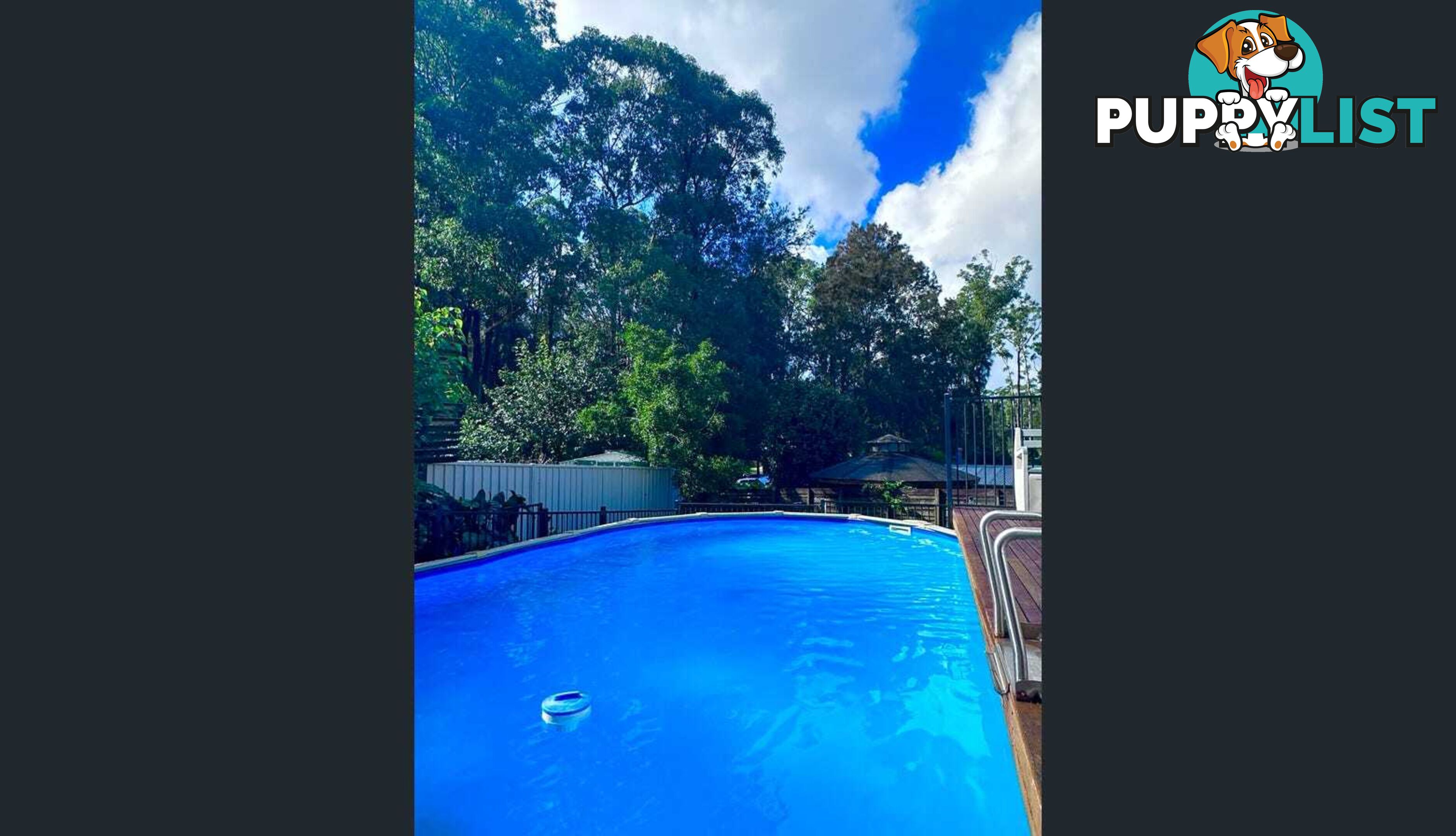 3 Catalina Drive CATALINA NSW 2536