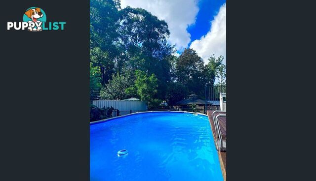 3 Catalina Drive CATALINA NSW 2536