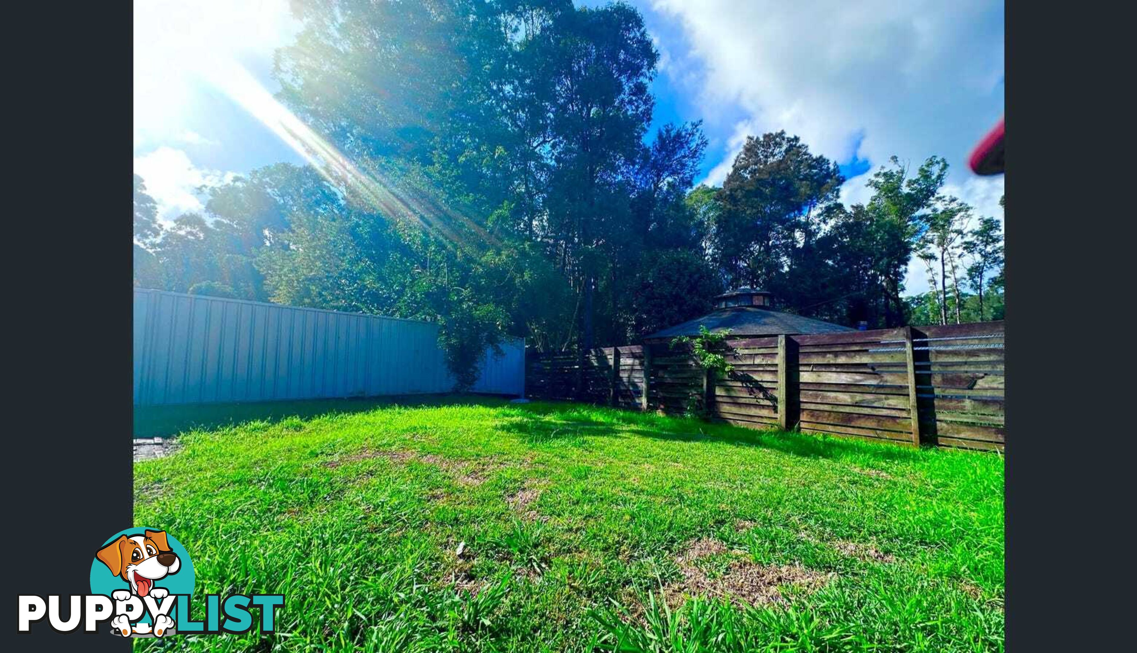 3 Catalina Drive CATALINA NSW 2536