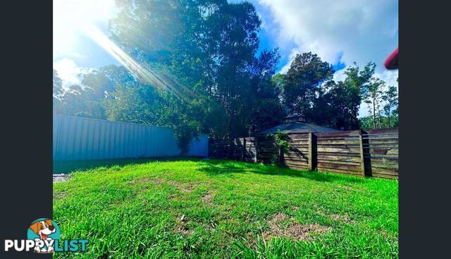 3 Catalina Drive CATALINA NSW 2536