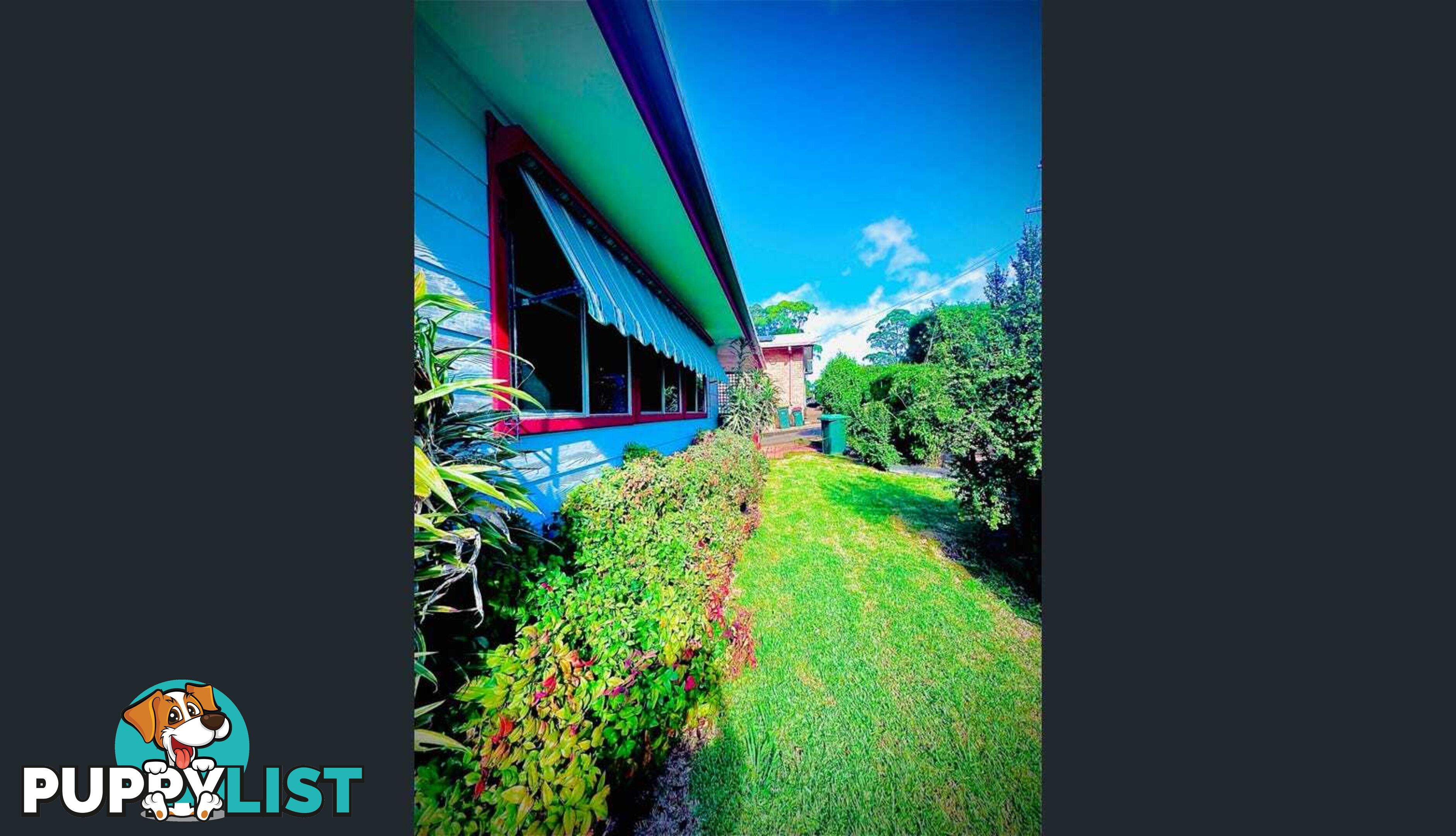 3 Catalina Drive CATALINA NSW 2536