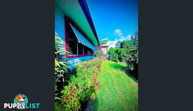 3 Catalina Drive CATALINA NSW 2536