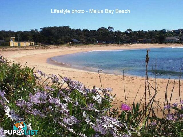 38 Bunderra Circuit MALUA BAY NSW 2536