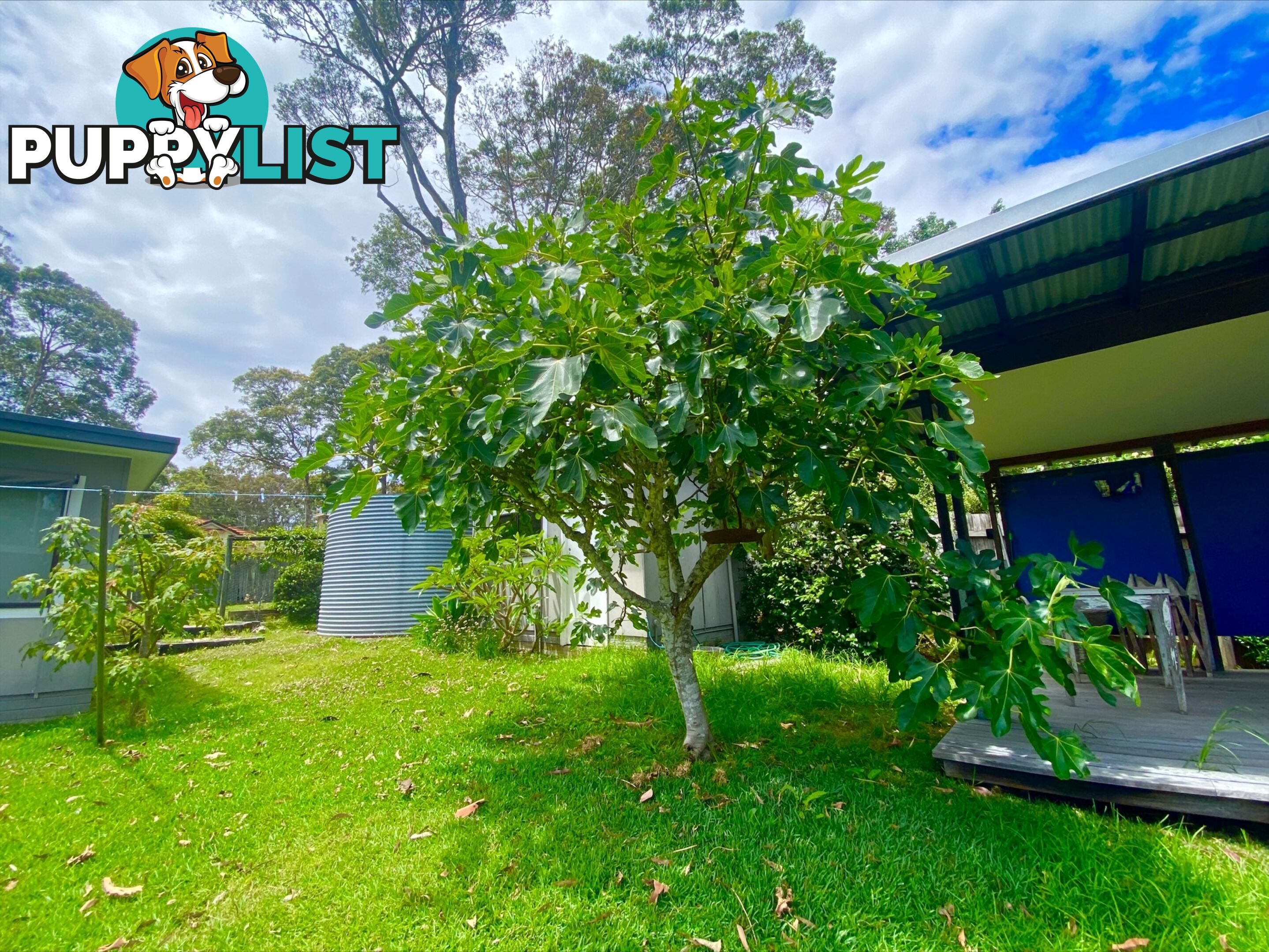 24 Village Road SOUTH DURRAS NSW 2536