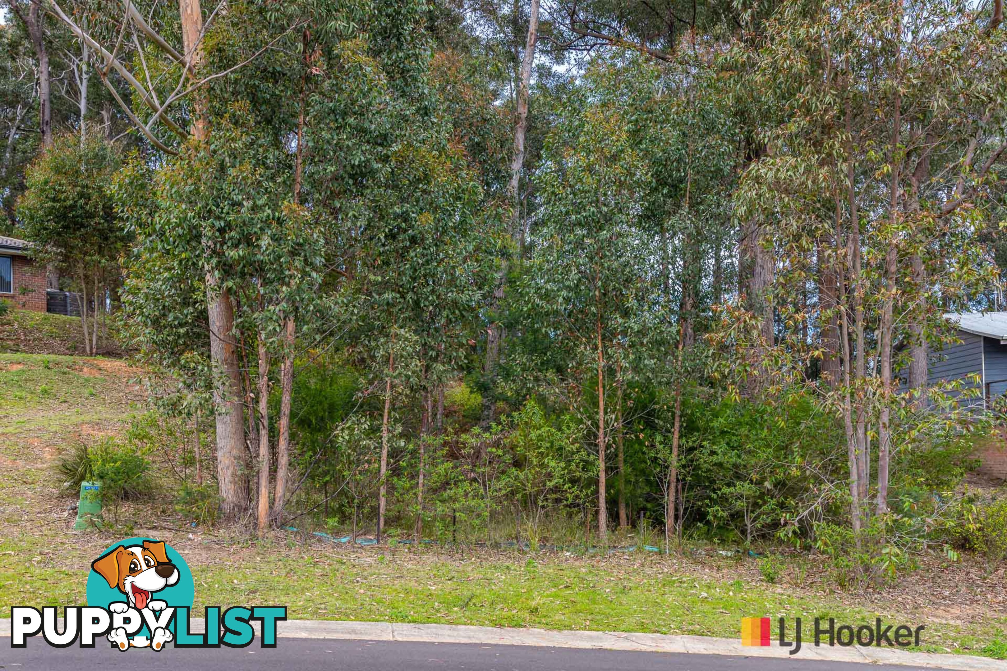 113 Litchfield Crescent LONG BEACH NSW 2536