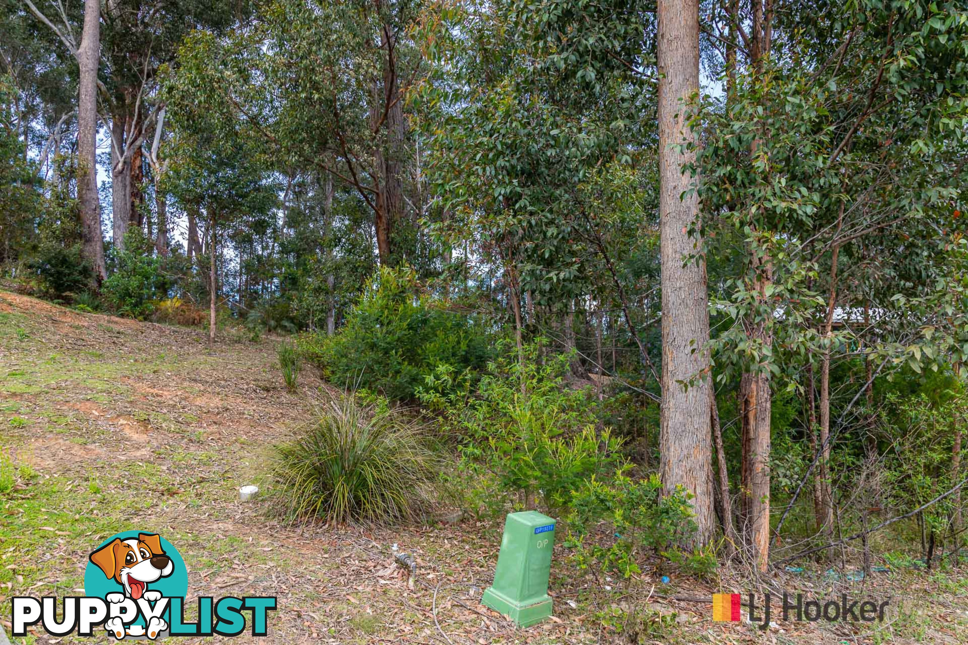 113 Litchfield Crescent LONG BEACH NSW 2536